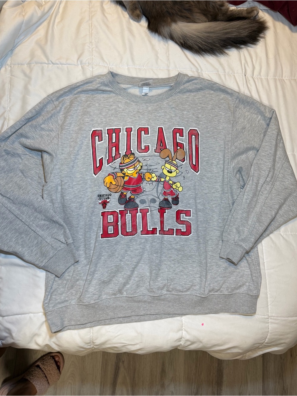 NBA Chicago Bulls X Garfield Gray Crewneck with Red Lettering and Mascot Graphic
